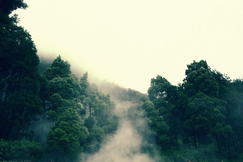Картинки про туман (100 фото) #82