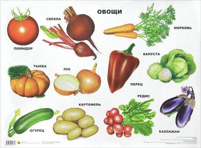 Овощи - красивые картинки (100 фото) #10