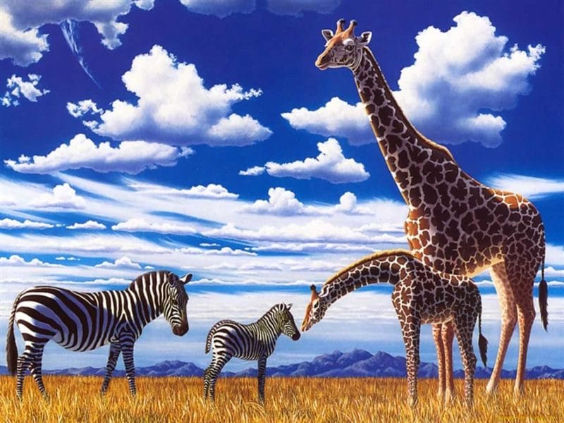Жирафы - красивые картинки (100 фото) #47