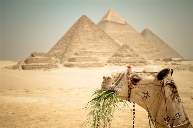 Египет - красивые картинки (100 фото) #80