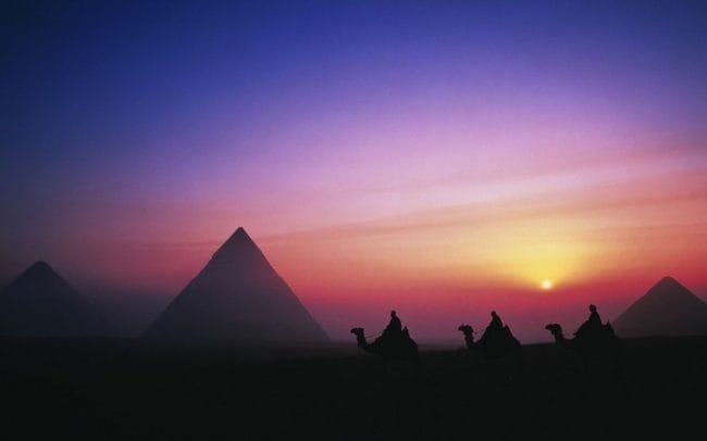 Верблюды - красивые картинки (100 фото) #97