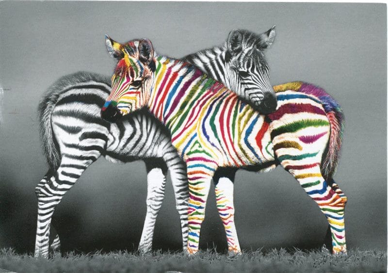 Зебры - красивые картинки (100 фото) #47