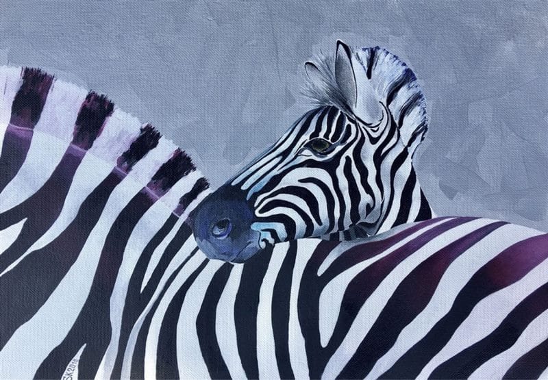 Зебры - красивые картинки (100 фото) #44