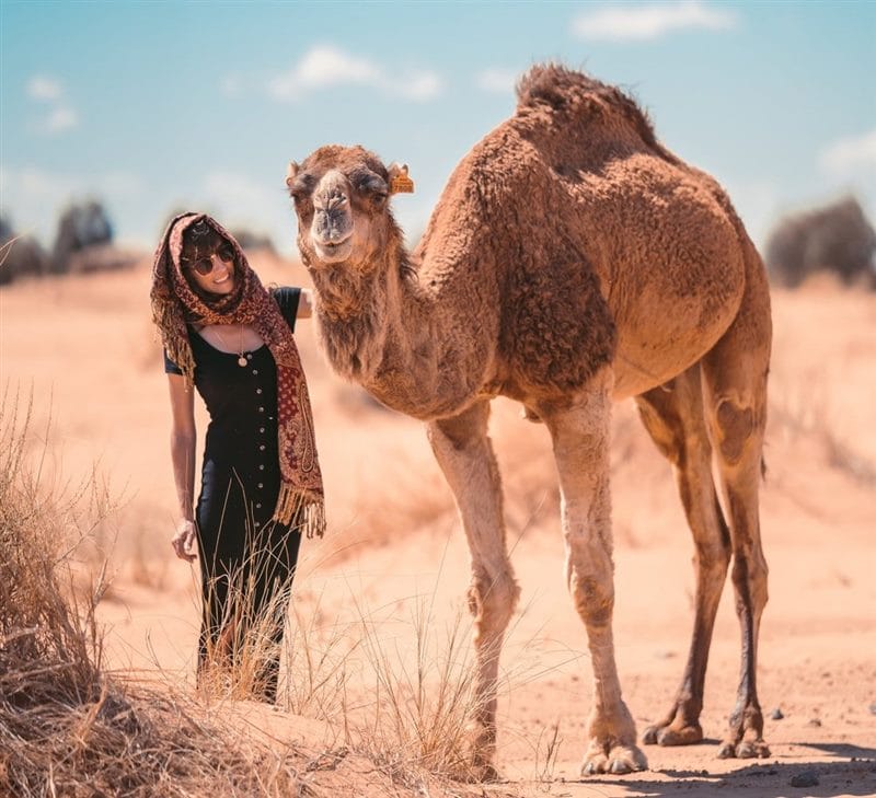 Верблюды - красивые картинки (100 фото) #61