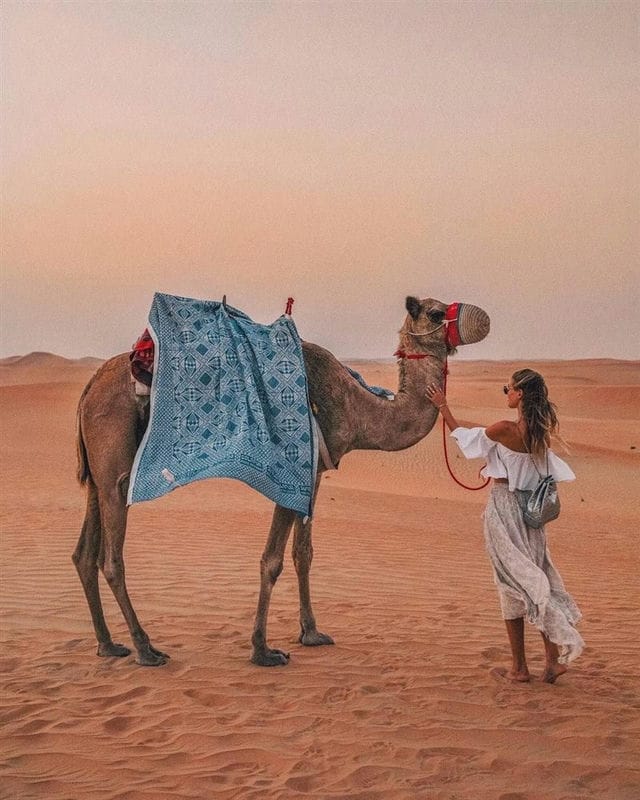 Верблюды - красивые картинки (100 фото) #53