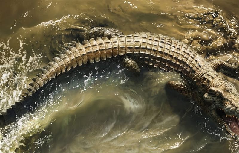 Крокодилы - красивые картинки (100 фото) #61