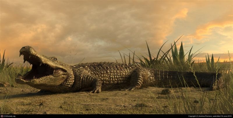 Крокодилы - красивые картинки (100 фото) #83
