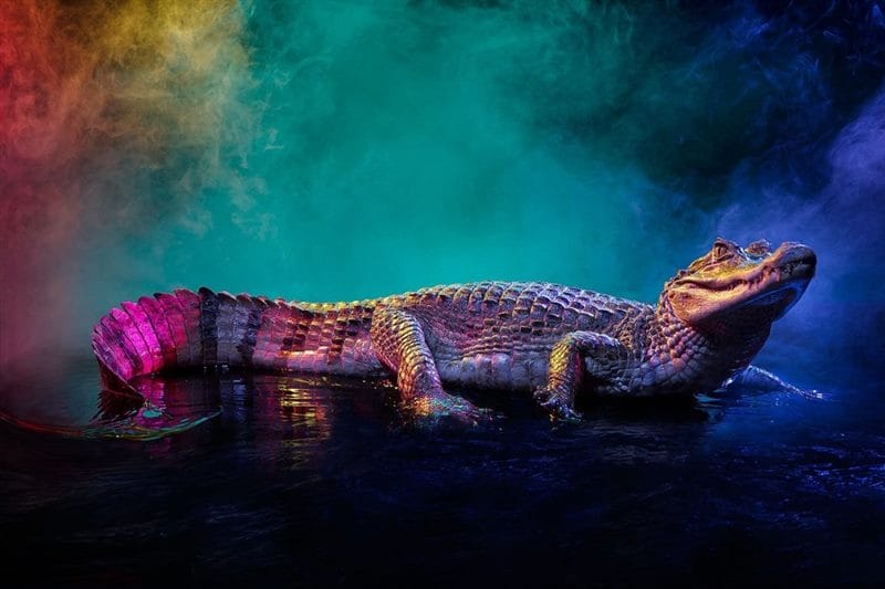 Крокодилы - красивые картинки (100 фото) #79