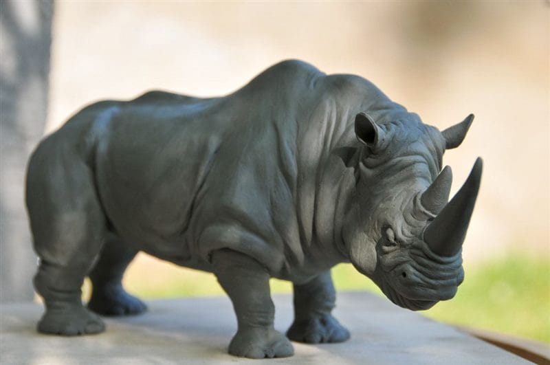 Носороги - красивые картинки (100 фото) #86