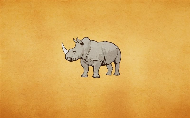 Носороги - красивые картинки (100 фото) #75
