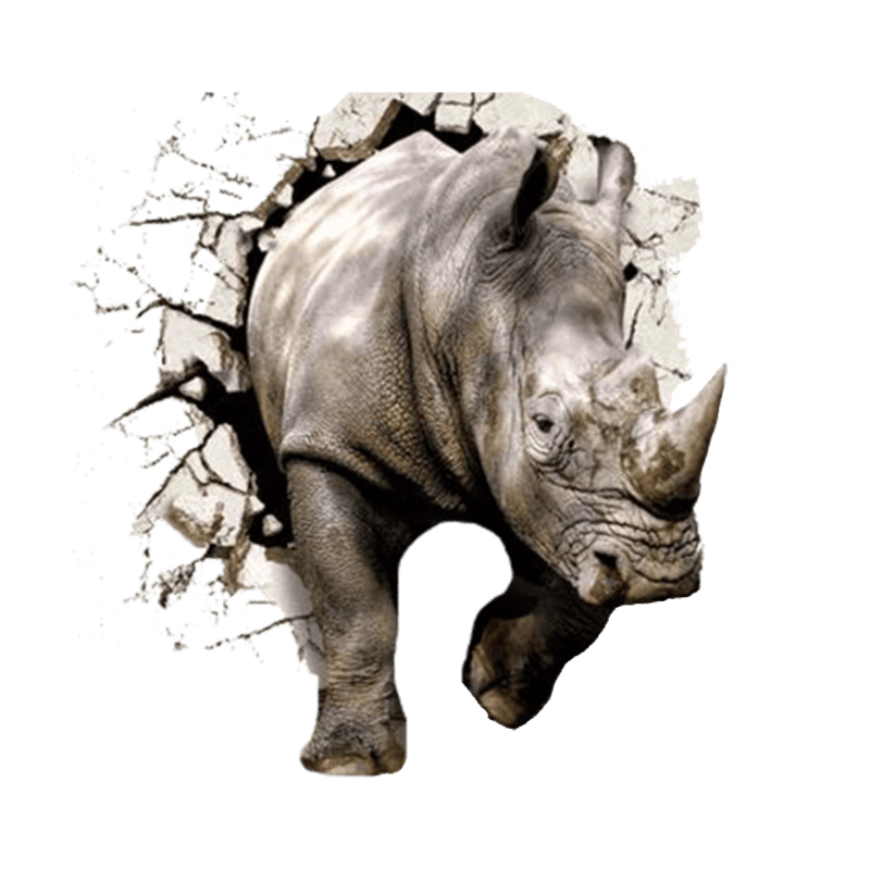 Носороги - красивые картинки (100 фото) #94
