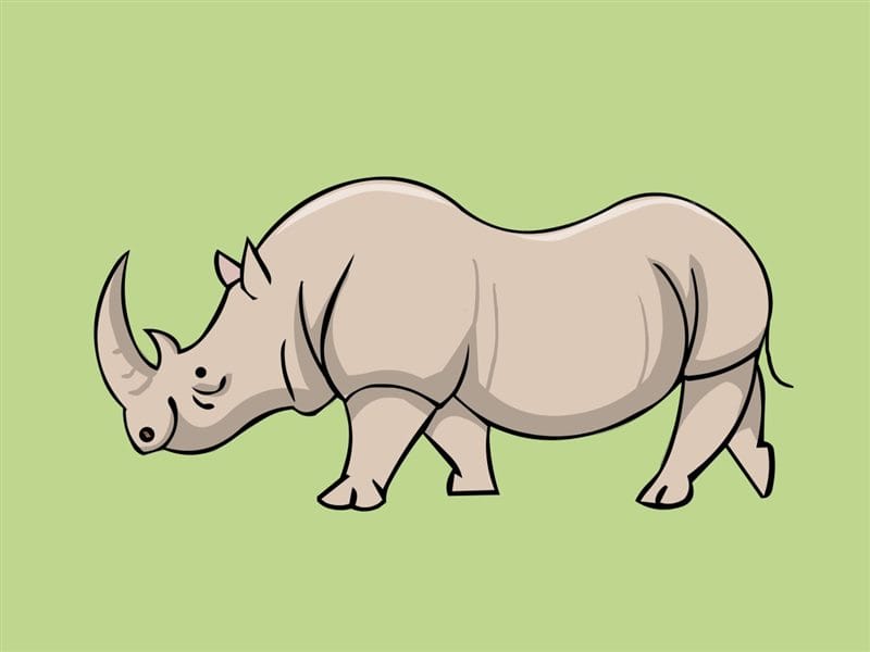Носороги - красивые картинки (100 фото) #88