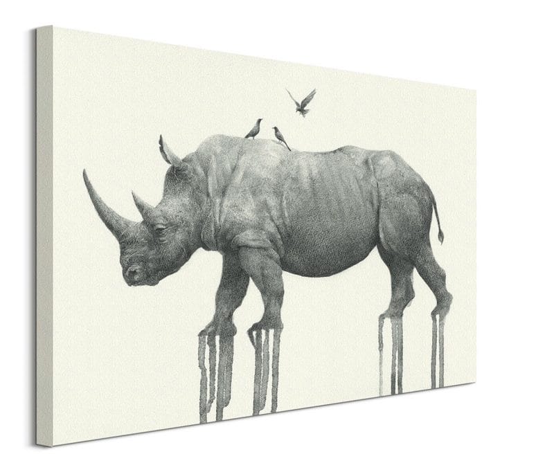 Носороги - красивые картинки (100 фото) #55