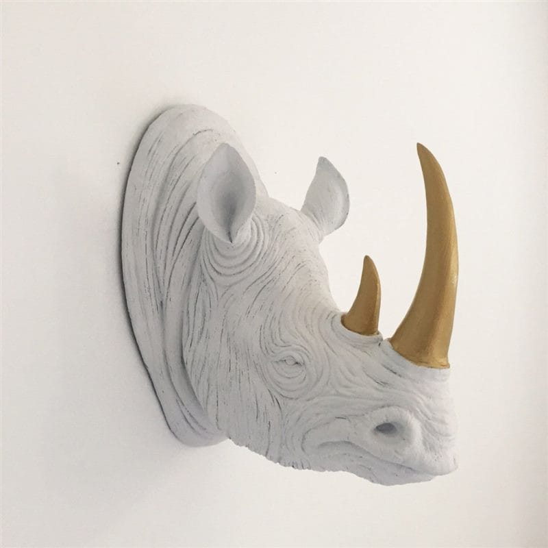 Носороги - красивые картинки (100 фото) #79