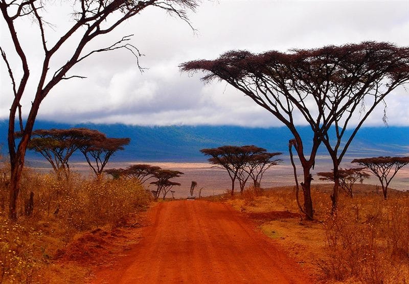 Красивые картинки Африки (100 фото) #30