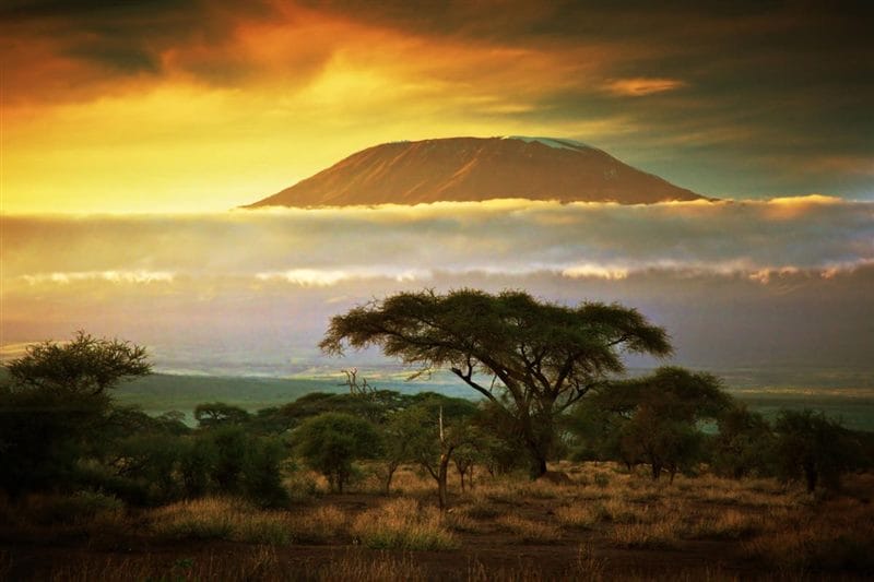 Красивые картинки Африки (100 фото) #1