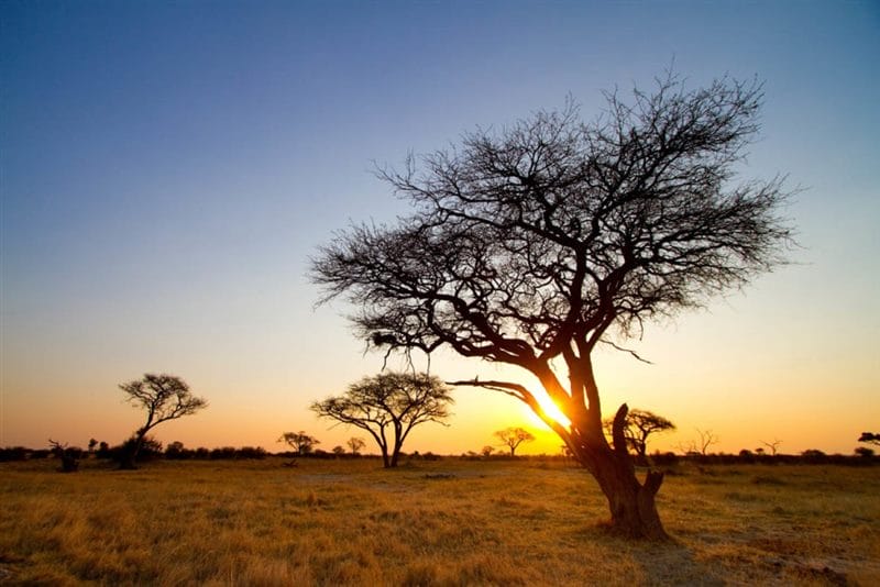 Красивые картинки Африки (100 фото) #37