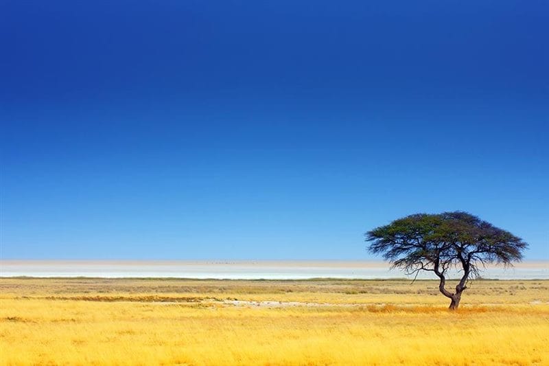 Красивые картинки Африки (100 фото) #5