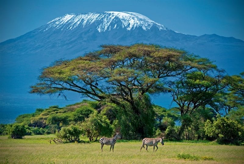 Красивые картинки Африки (100 фото) #9