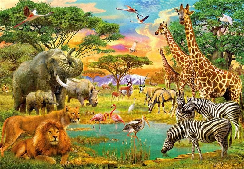 Картинки африканских животных (100 фото) #99