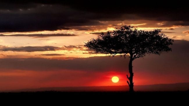 Красивые картинки Африки (100 фото) #91