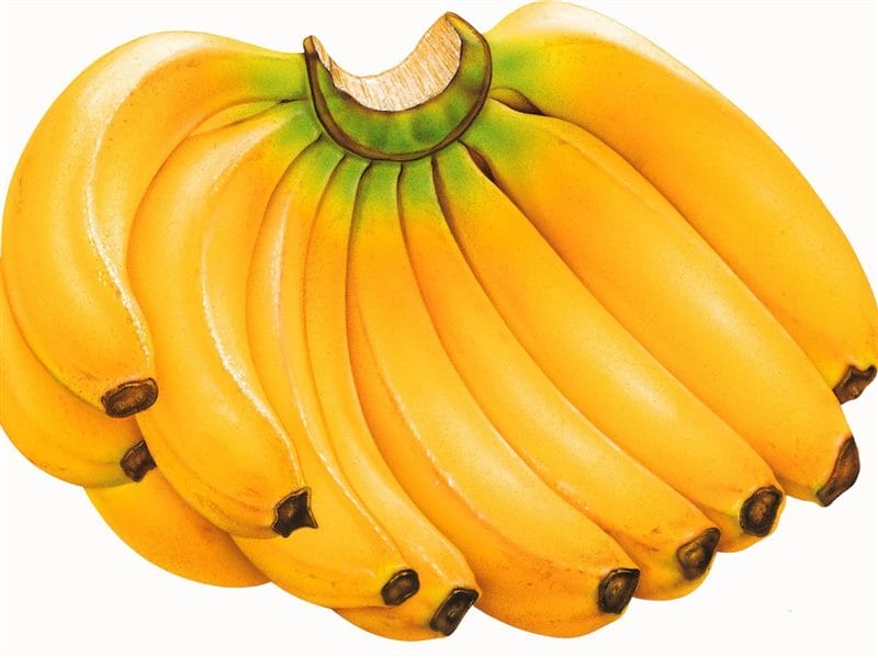 Картинки бананы (100 фото) #52