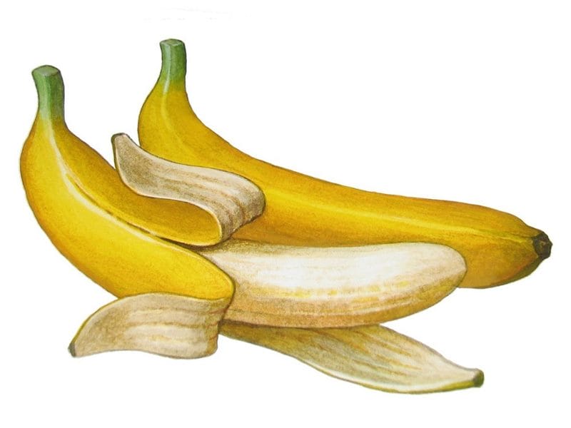 Картинки бананы (100 фото) #65
