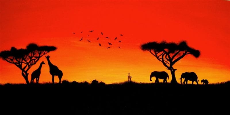 Картинки африканских животных (100 фото) #88
