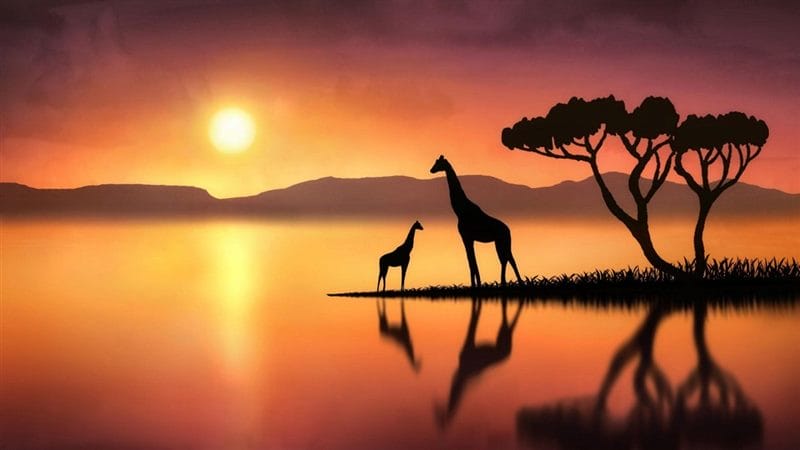 Картинки африканских животных (100 фото) #75