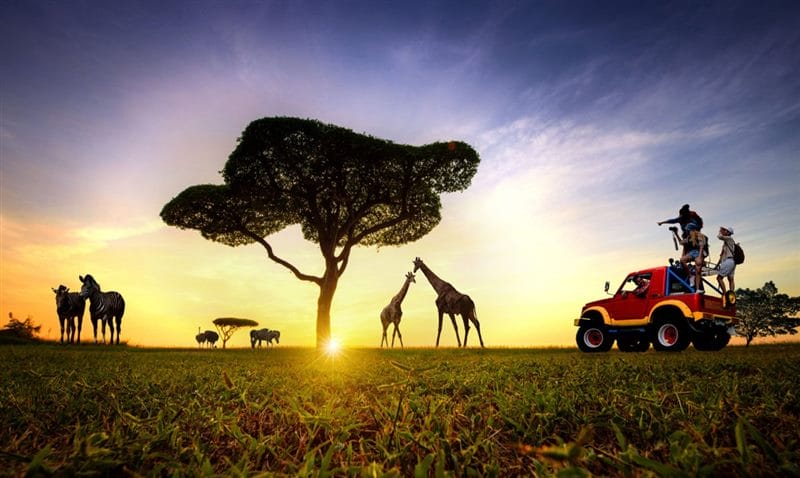 Красивые картинки Африки (100 фото) #50