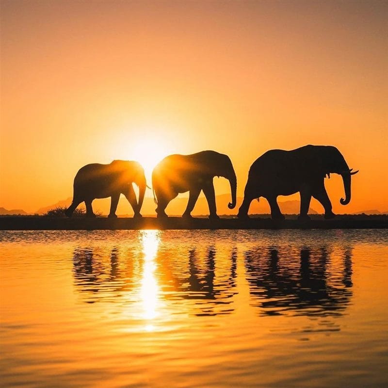 Красивые картинки Африки (100 фото) #47