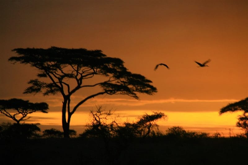 Красивые картинки Африки (100 фото) #86
