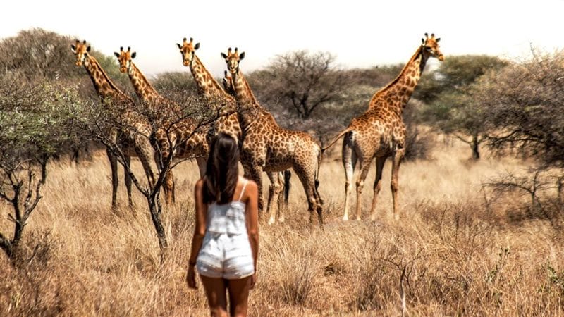 Красивые картинки Африки (100 фото) #67