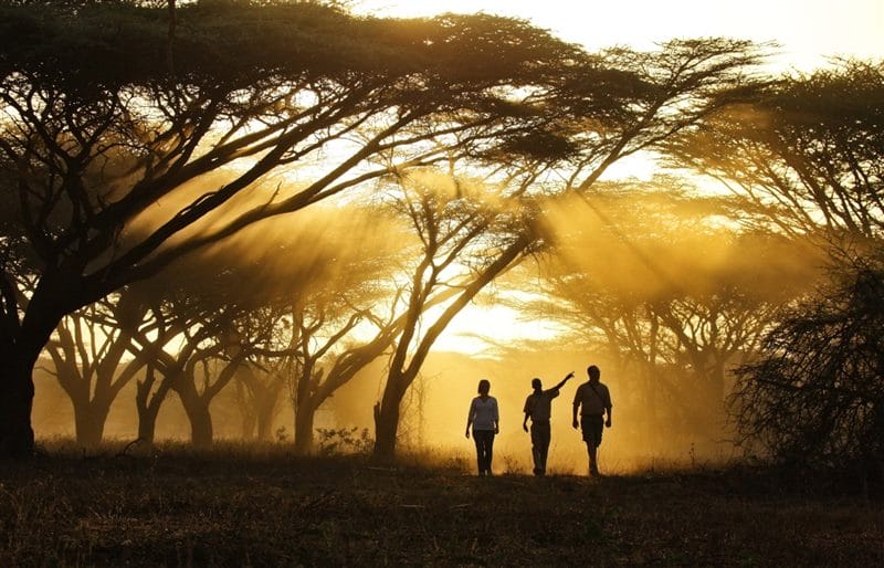 Красивые картинки Африки (100 фото) #70