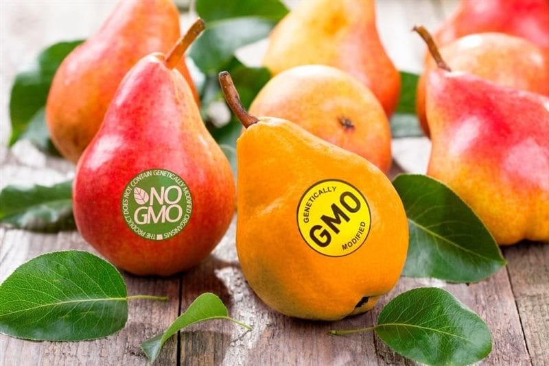 Картинки ГМО продукты (50 фото) #11