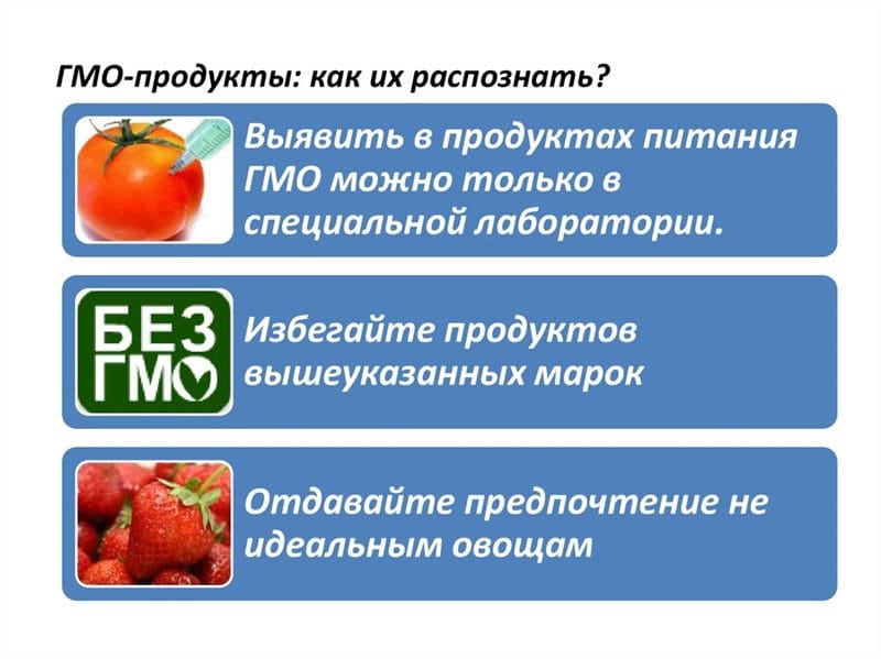 Картинки ГМО продукты (50 фото) #15