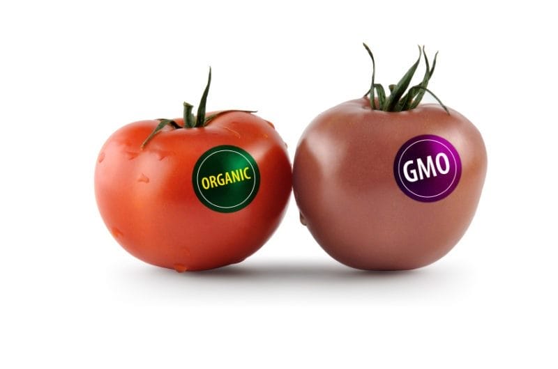 Картинки ГМО продукты (50 фото) #19