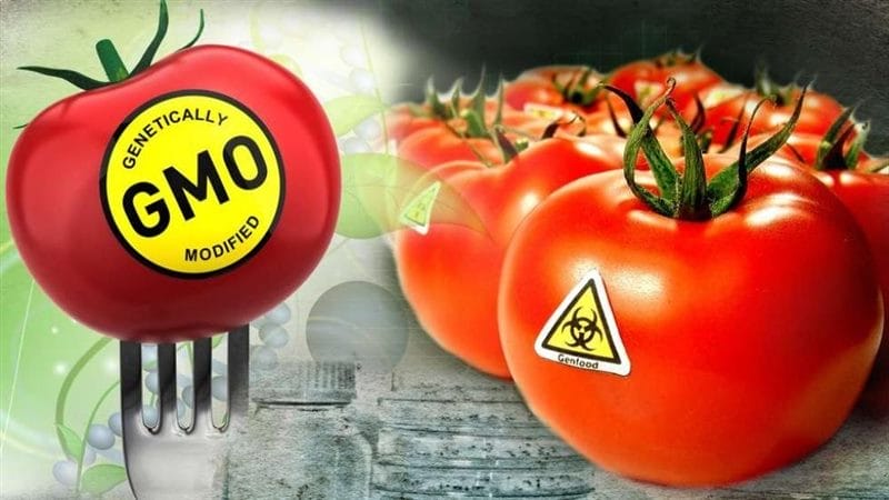 Картинки ГМО продукты (50 фото) #28