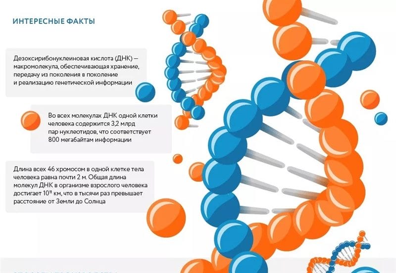 Картинки ДНК (100 фото) #25
