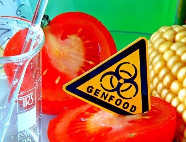 Картинки ГМО продукты (50 фото) #40