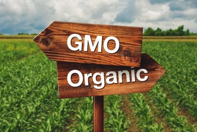 Картинки ГМО продукты (50 фото) #38