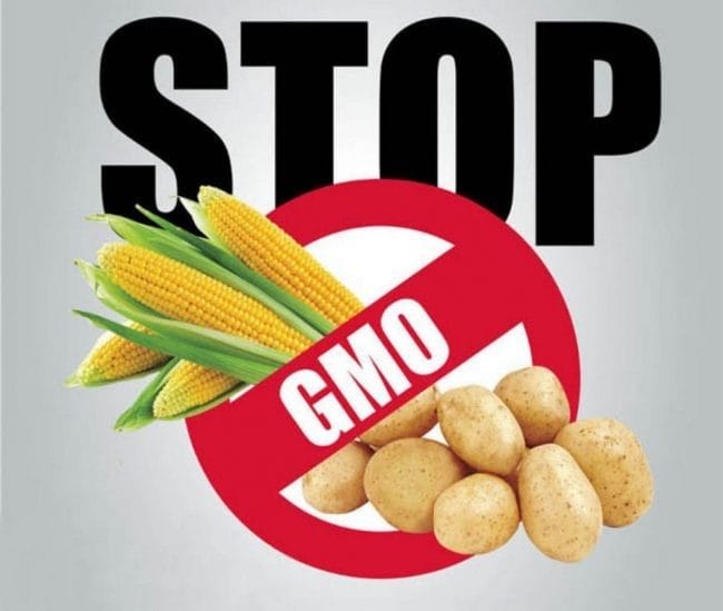 Картинки ГМО продукты (50 фото) #42