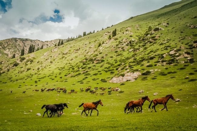 Картинки Кыргызстан (50 фото) #30