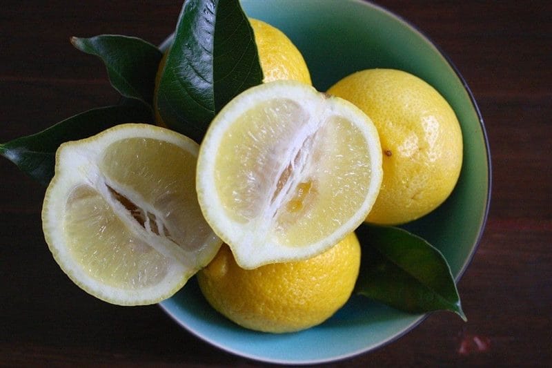 Картинки лимоны (100 фото) #45
