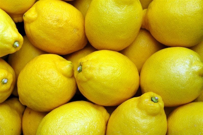 Картинки лимоны (100 фото) #47