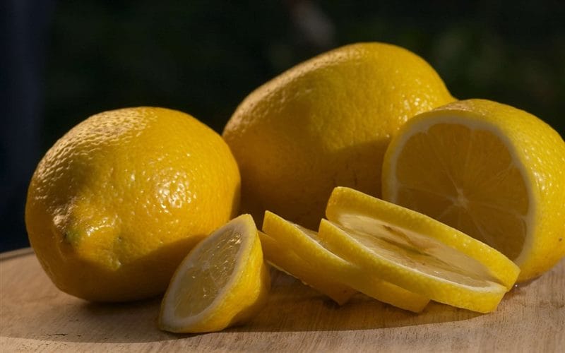 Картинки лимоны (100 фото) #77