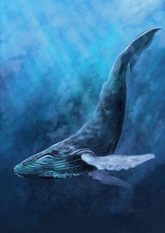 Картинки киты (100 фото) #80