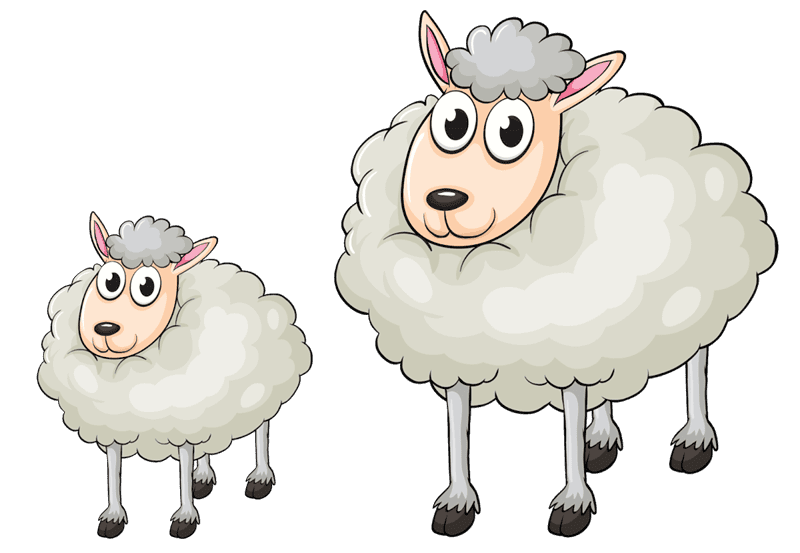 Картинки овечки (100 фото) #51