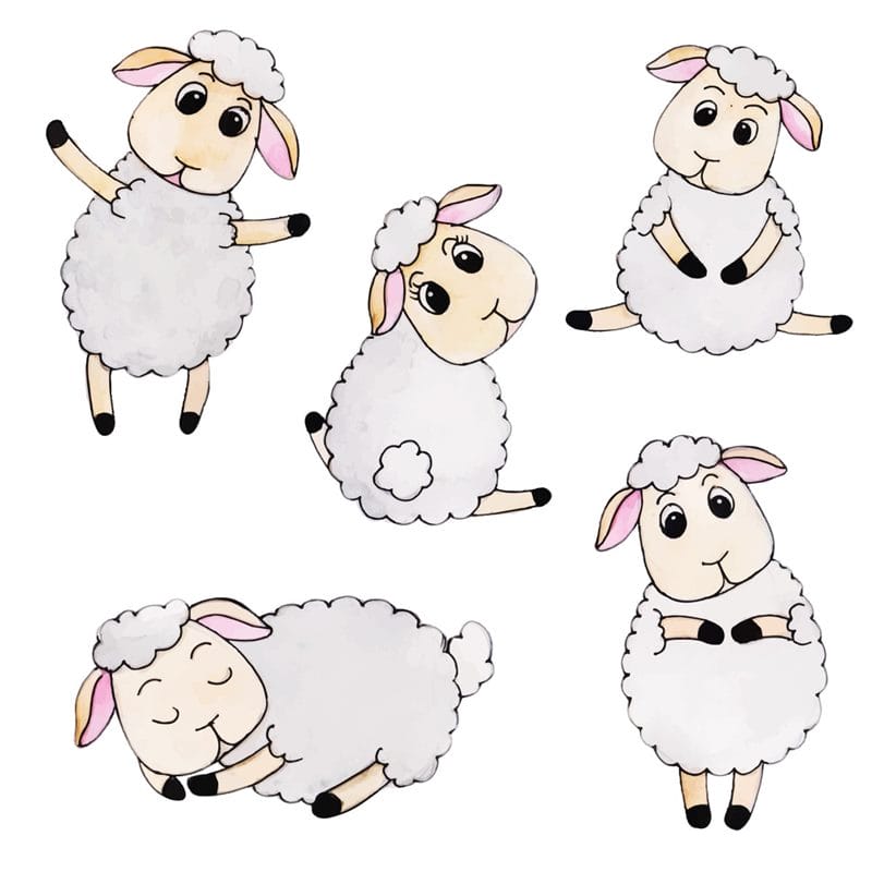 Картинки овечки (100 фото) #81