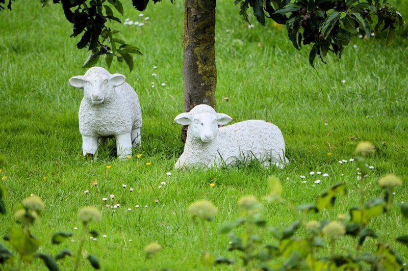 Картинки овечки (100 фото) #50